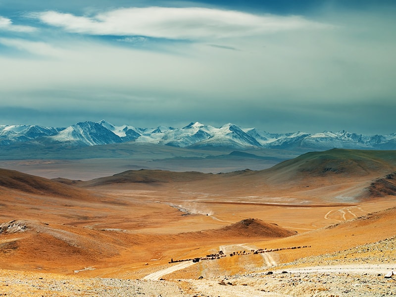 Mongolia. El silencioso desierto de Gobi