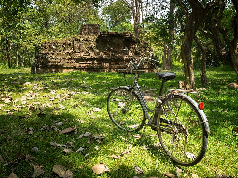 Sri Lanka. Recorrer los infinitos arrozales en bicicleta