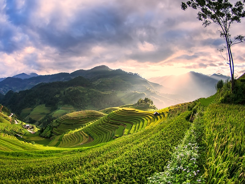 Vietnam. Recorrido en Sidecar por los arrozales