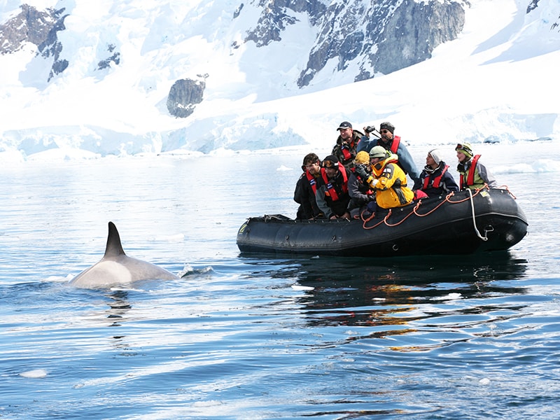Antártida. Desembarcos guiados por científicos