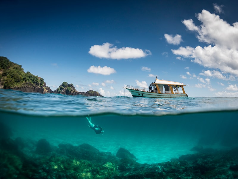 Brasil. Buceo y snorkel en tres de las mejores playas del mundo